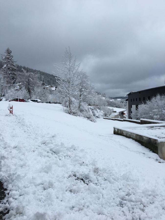 Gite Les Dryades Gerardmer Exterior photo