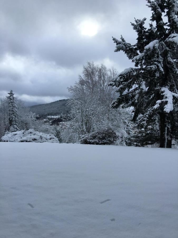Gite Les Dryades Gerardmer Exterior photo